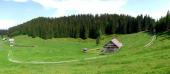 Pokljuka