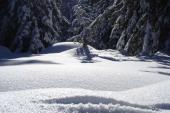 Pokljuka