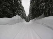 Pokljuka